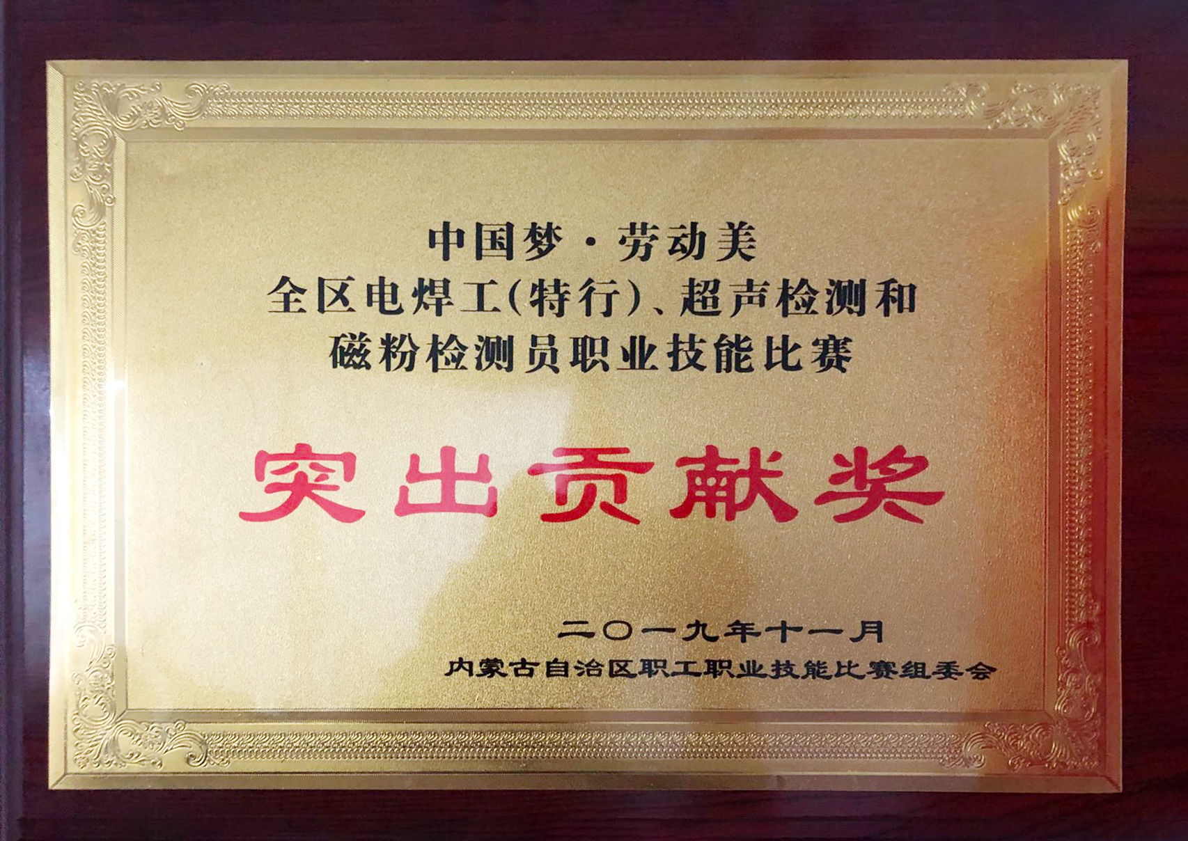 中国梦·劳动美全区电焊工（特行）、超声检测和磁粉检测员职业技能比赛突出贡献奖